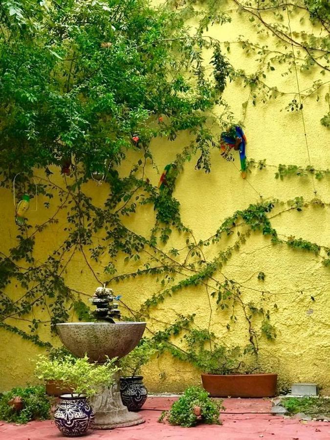 Hostal Tlaquepaque Exterior photo